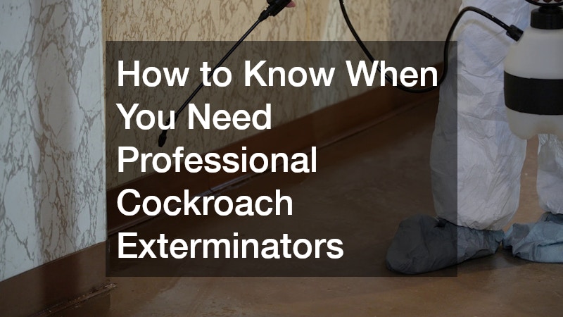 How to Know When You Need Professional Cockroach Exterminators